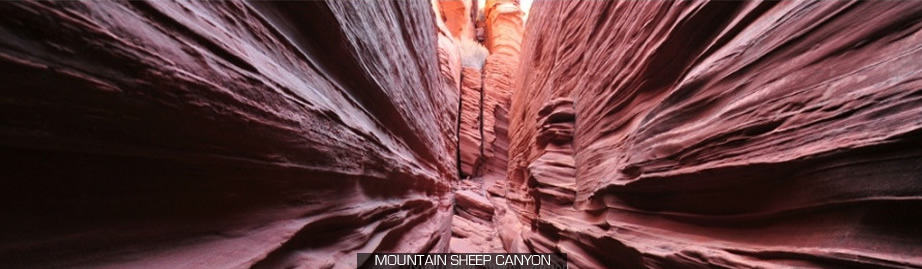 antelop canyon tours