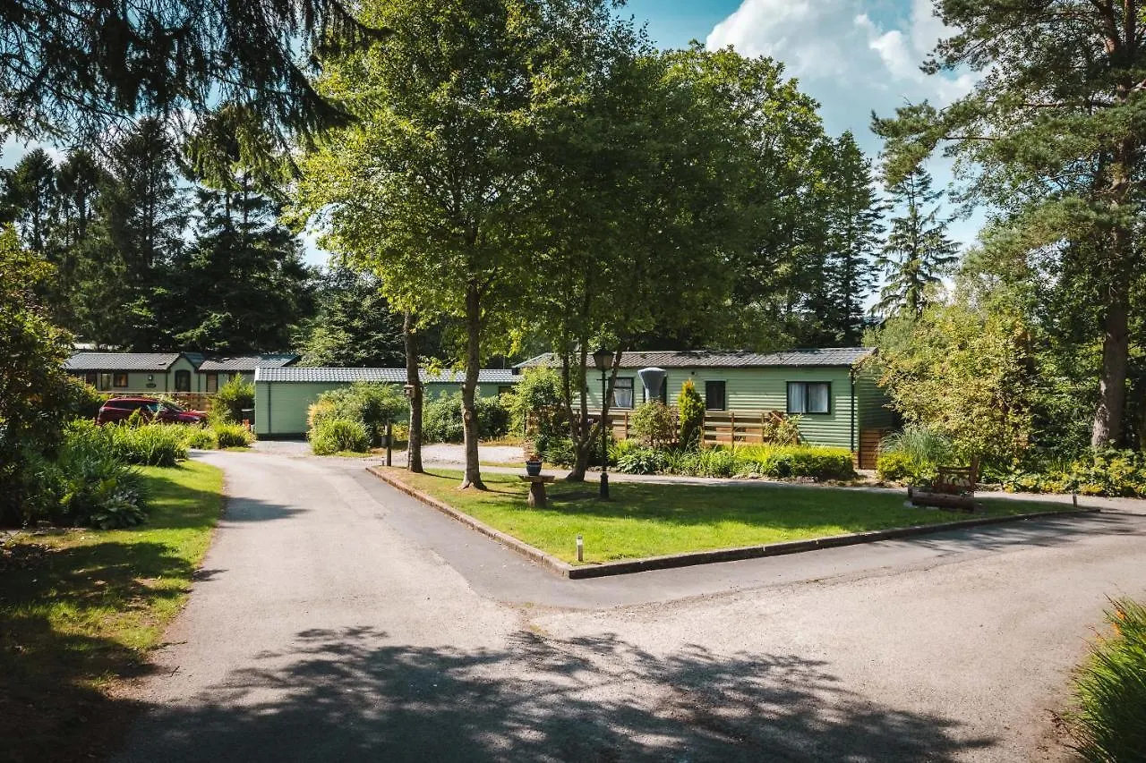 6 Central Hotels Close to Fell Foot Park Worth Booking